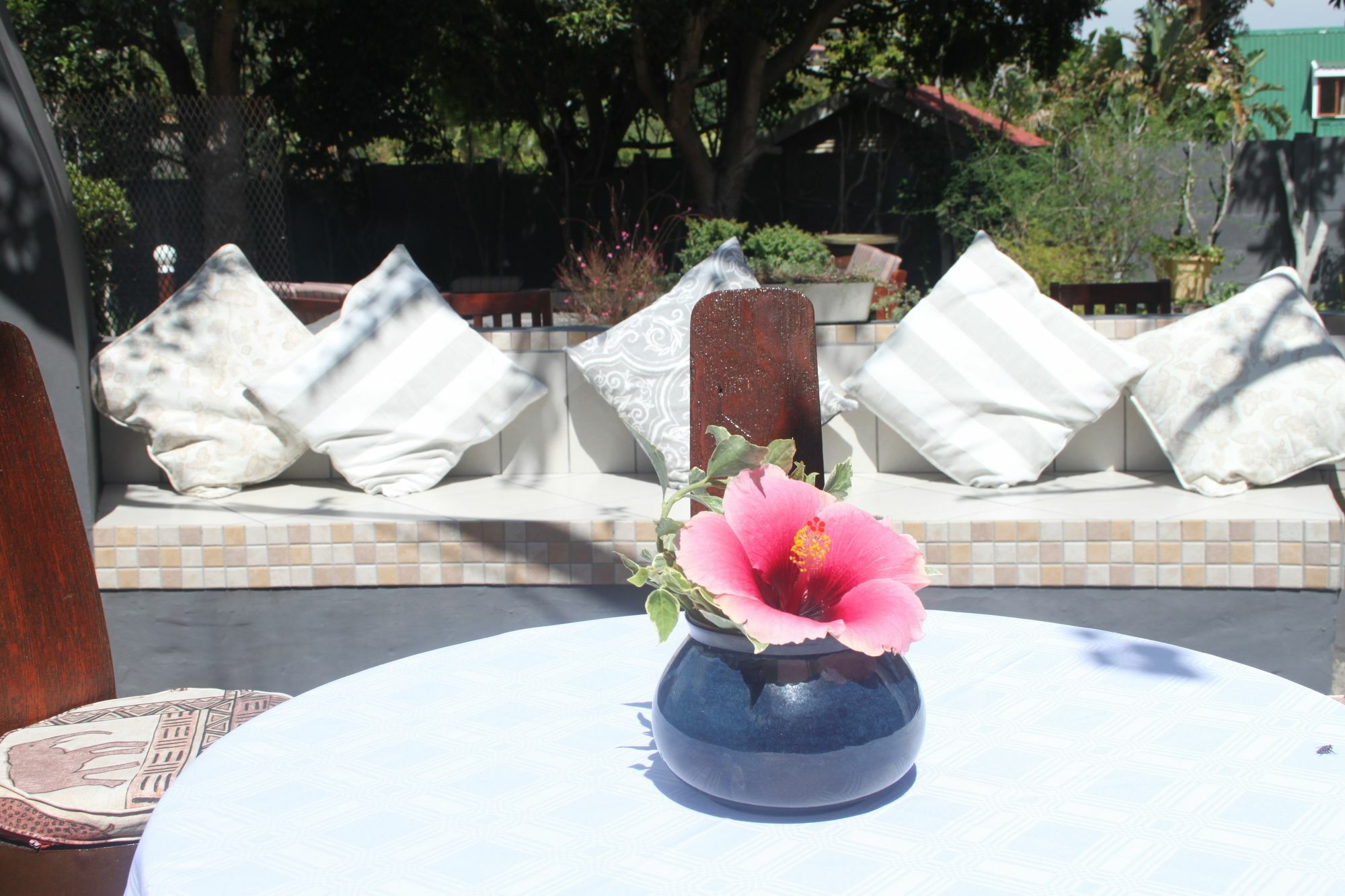 Pelican Lodge Guesthouse Sedgefield Ngoại thất bức ảnh